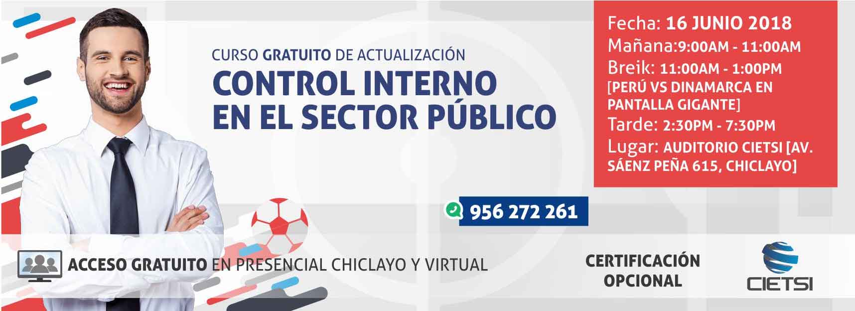 curso control interno en el sector pUblico 2018